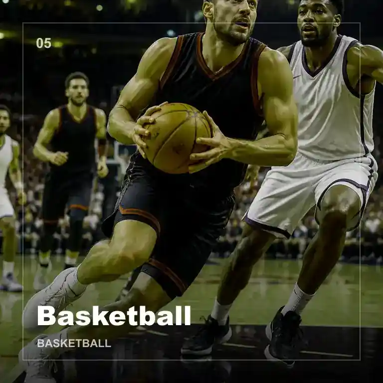 NBA与CBA篮球赛事数据